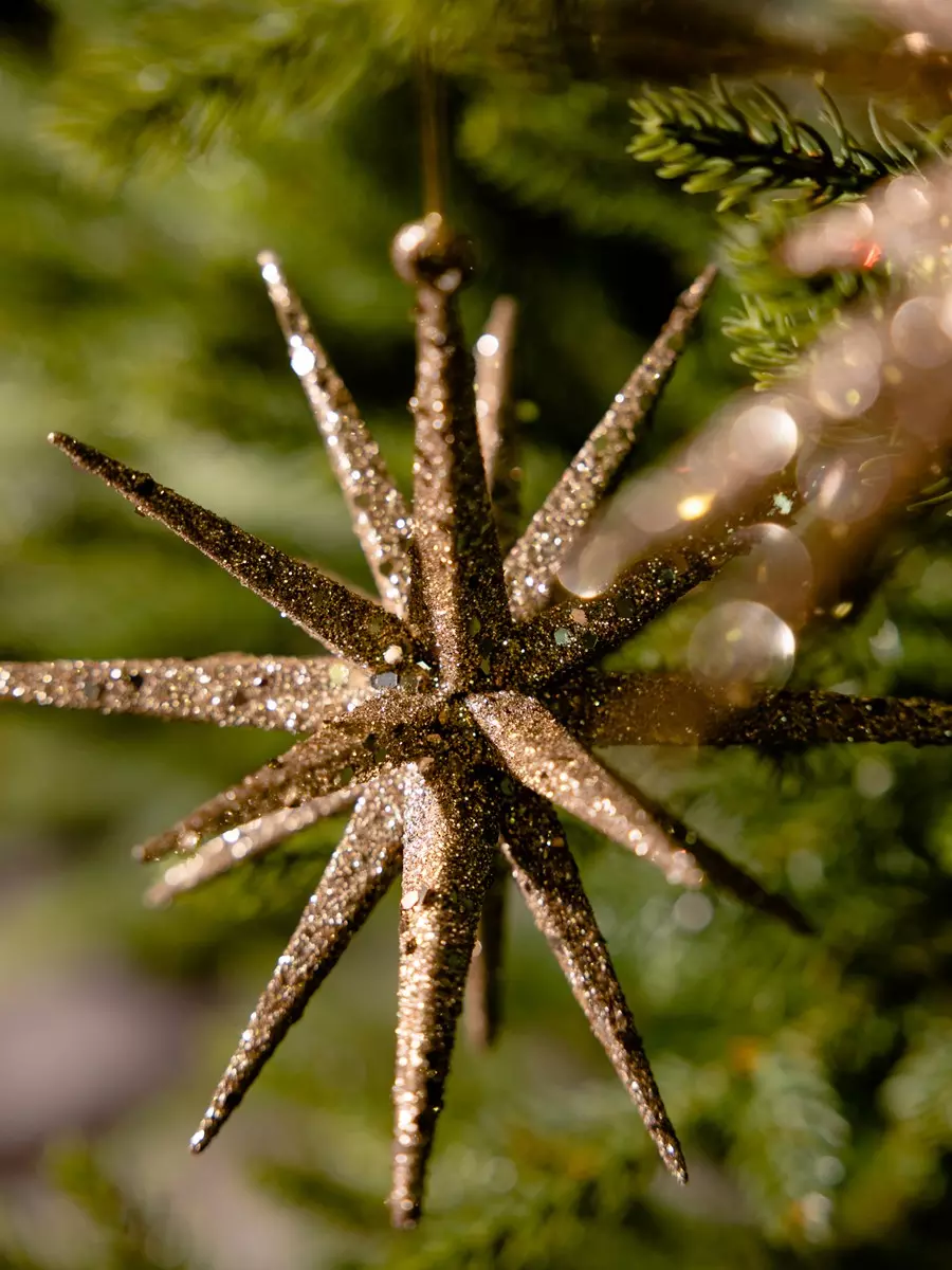 Елочные украшения пластик (3 шт) Волшебство на ветках VNVE-B62