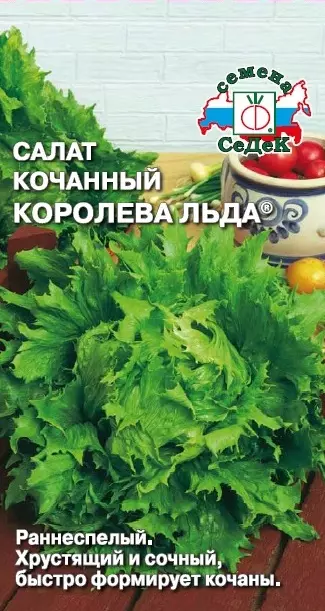 Семена Салат кочанный Королева льда. СеДеК Ц/П