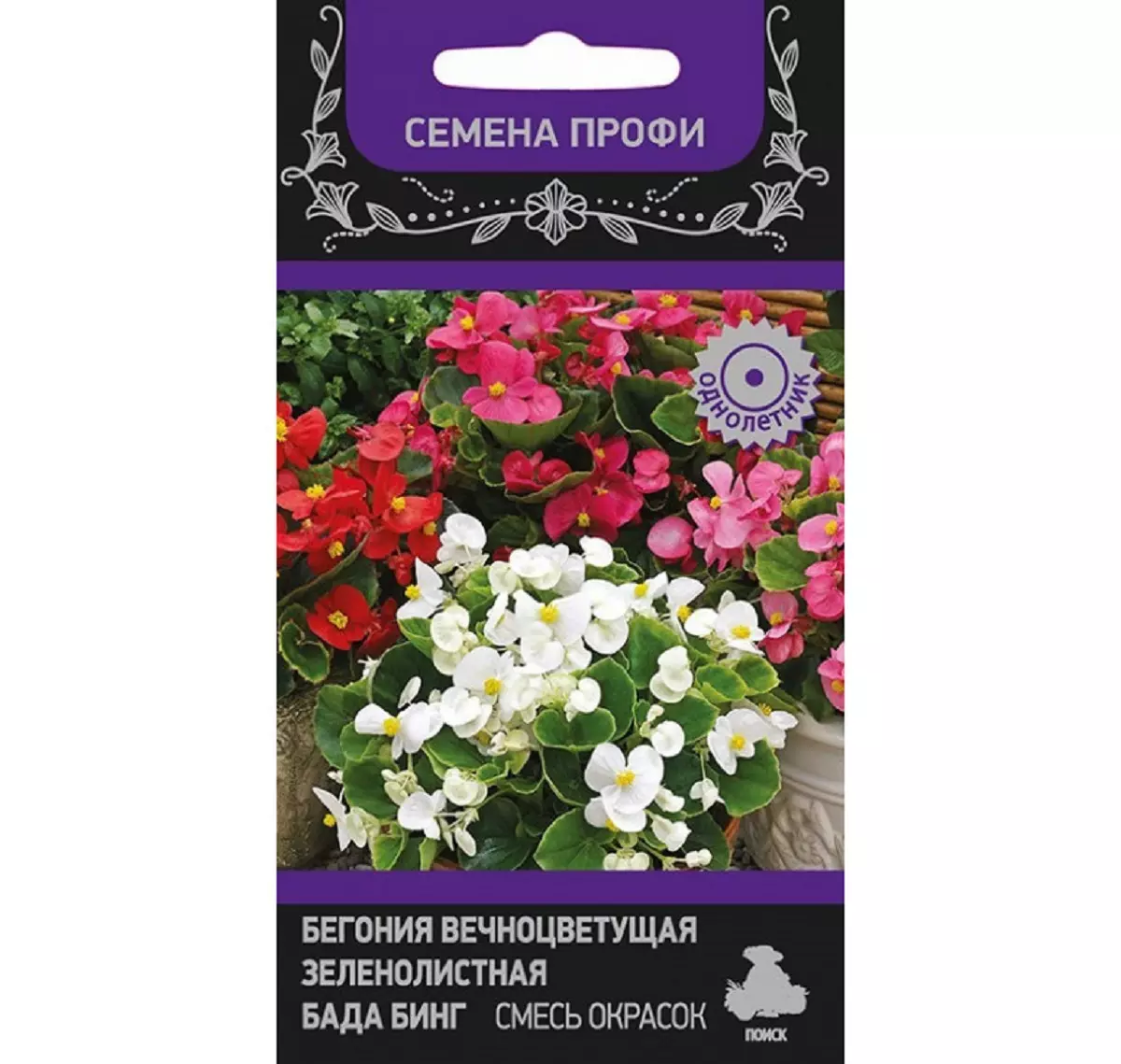 Семена цветов Бегония вечноцветущая Бада Бинг, смесь, ПОИСК 15 шт ц/п
