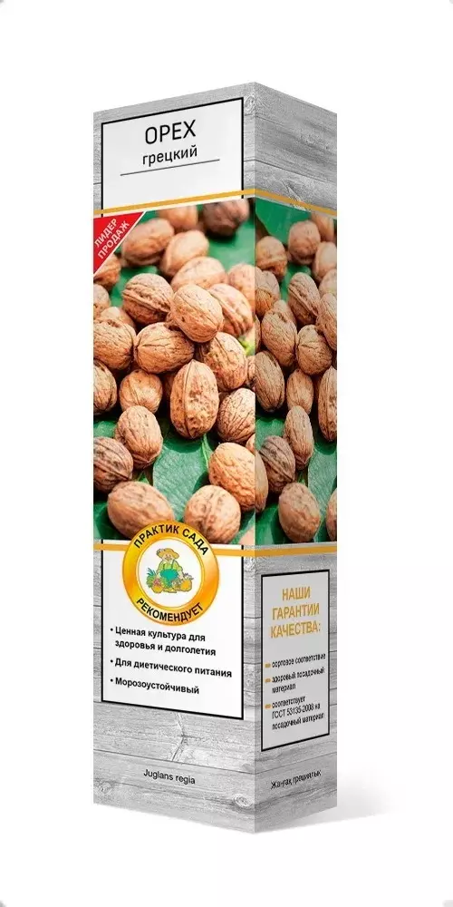 Саженец орех Грецкий (в тубе), Поиск