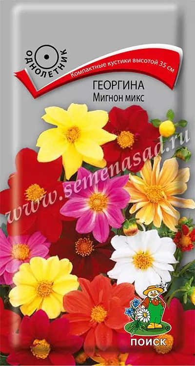 Семена цветов Георгина Мигнон микс. ПОИСК Ц/П 0.2 г