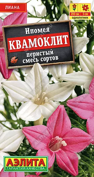 Семена цветов Ипомея Квамоклит перистый, смесь сортов. АЭЛИТА Ц/П 0,5 г