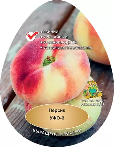 Саженец Персик Уфо-3 поздний в тубе, Поиск