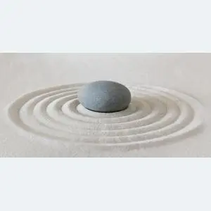 Декор для плитки 24,9х50 Relax 1 камень DWU09RLX024 (ALMA ceramica)