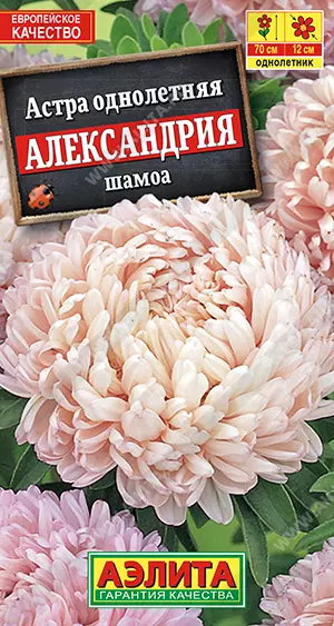 Семена цветов Астра Александрия шамоа. АЭЛИТА Ц/П 0,1 г