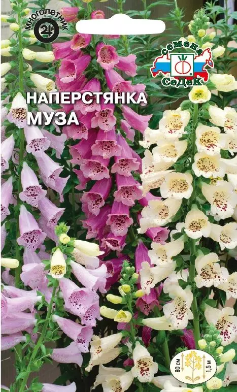 Семена цветов Наперстянка Муза,смесь СеДеК Ц/П 0,1 г