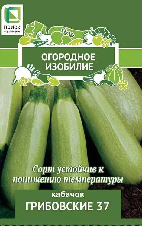 Семена Кабачок Грибовские 37.ПОИСК Ц/П ОИ 2 г