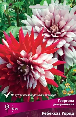 Клубни цветов Георгина декоративная Ребекказ Уорлд (I; 1 шт)