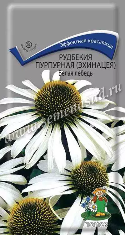 Семена цветов Рудбекия пурпурная (Эхинацея) Белая лебедь. ПОИСК Ц/П 0.1 г