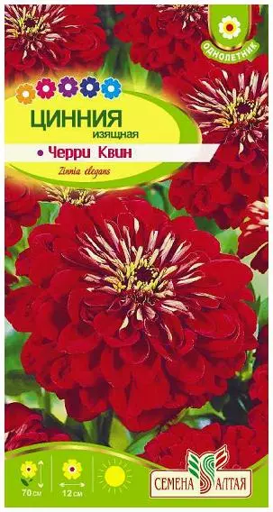 Семена цветов Цинния Черри Квин георгиноцветковая/Сем Алт/цп 0,2 гр