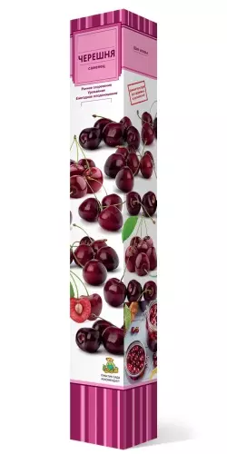 Саженец Черешня Слава Жукова поздний в тубе, Поиск