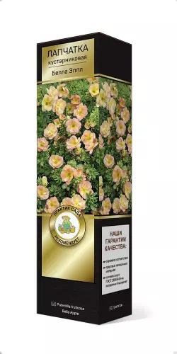 Саженец Лапчатка кустарниковая Белла Эппл (в тубе), Поиск