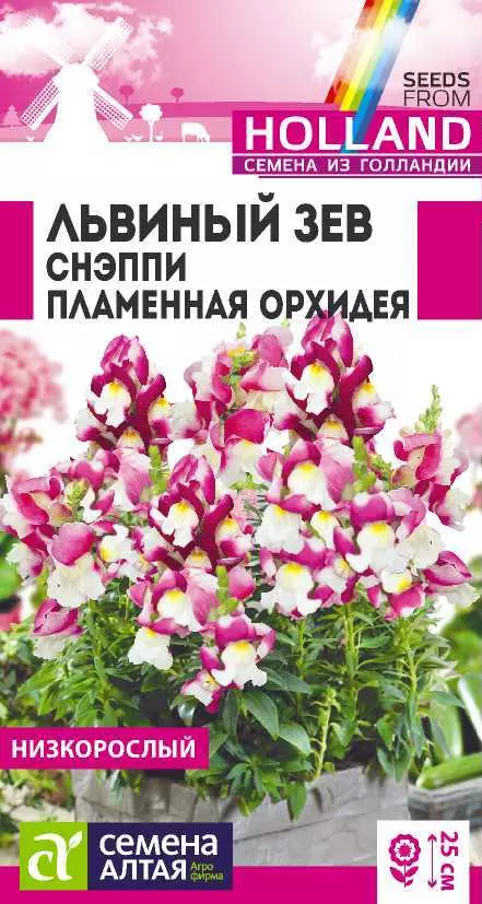 Семена цветов Львиный зев Снэппи Пламенная Орхидея. Семена Алтая Ц/П 7шт