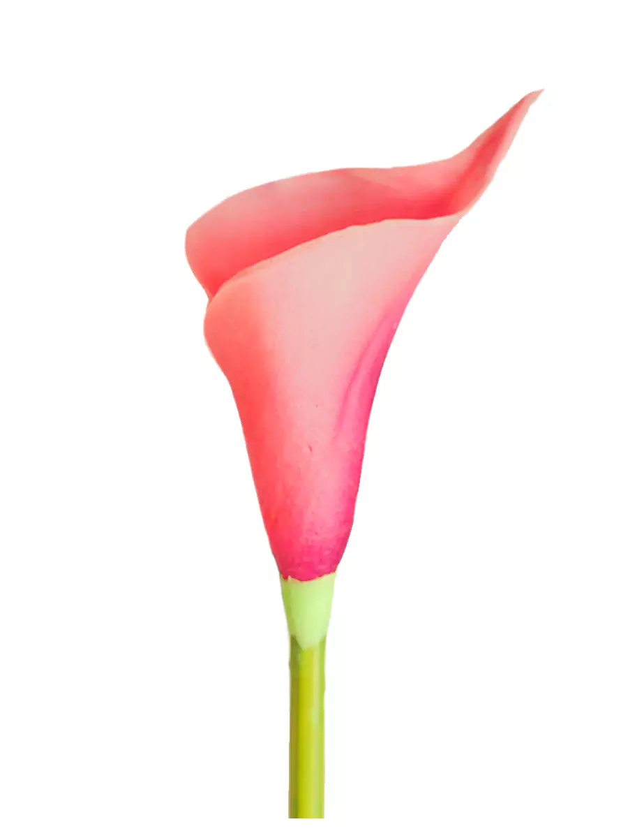 Цветок искусственный Розовая Калла 50х8,5х8,5 см, 88279