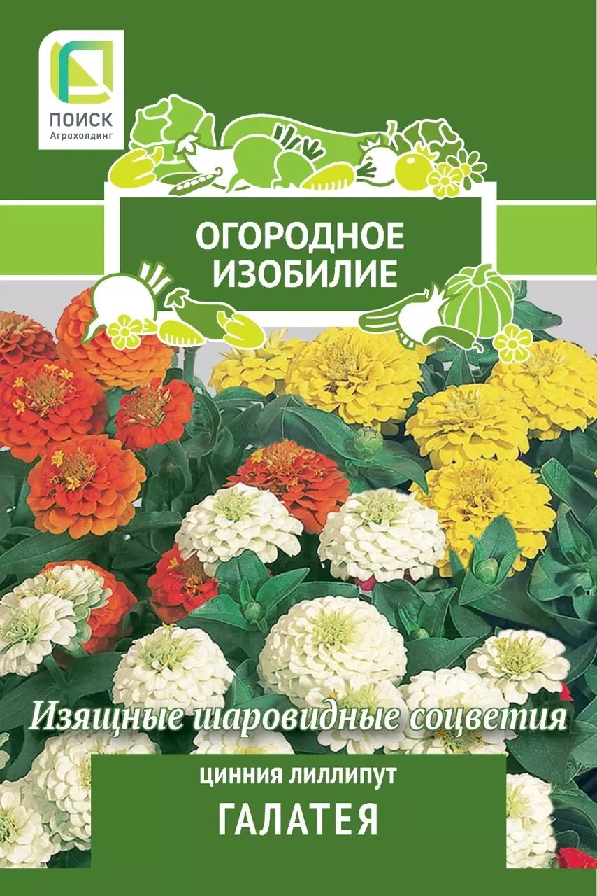 Семена цветов Цинния лиллипут Галатея (Огородное изобилие) (1) 0,4гр ПОИСК