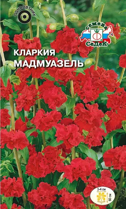 Семена цветов Кларкия мадемуазель, СеДеК 0,1 г ц/п