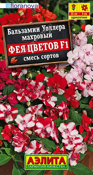 Семена цветов Бальзамин Уоллера махровый Фея цветов F1, смесь сортов, Агрофирма АЭЛИТА 5 шт ц/п
