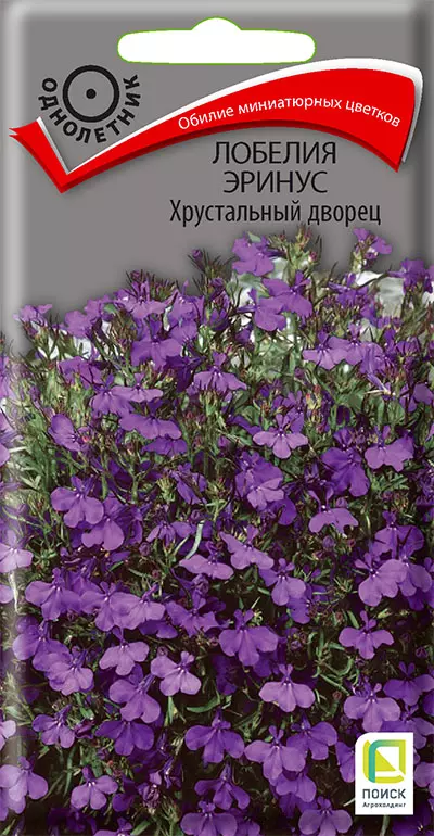 Семена цветов Лобелия Хрустальный дворец 0.1 гр (Поиск) цв