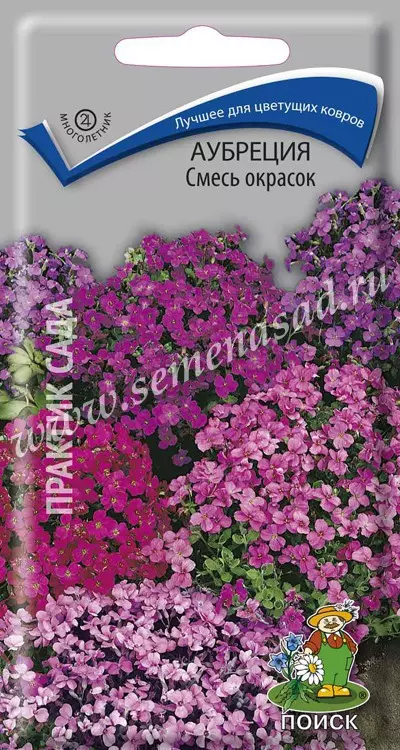 Семена цветов Аубреция, смесь окрасок. ПОИСК Ц/П 0,1 г