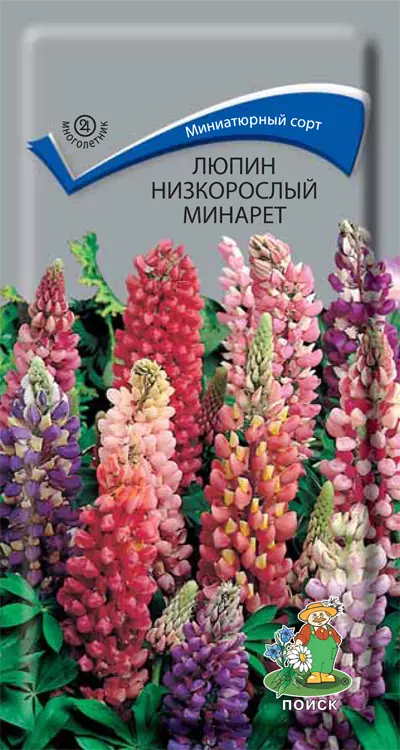 Семена цветов Люпин Минарет смесь низкорослая 1 гр (Поиск)