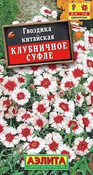 Семена цветов Гвоздика китайская Клубничное суфле 0.3гр АЭЛИТА
