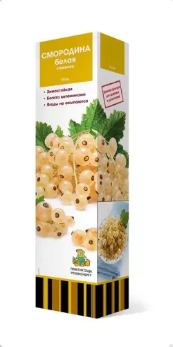 Саженец Смородина белая Беляна, традиционные сорта, в тубе