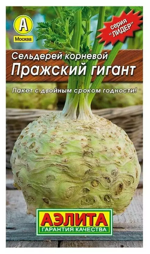 Семена Сельдерей Корневой Пражский Гигант/Сем Алт/цп 0,5 гр.