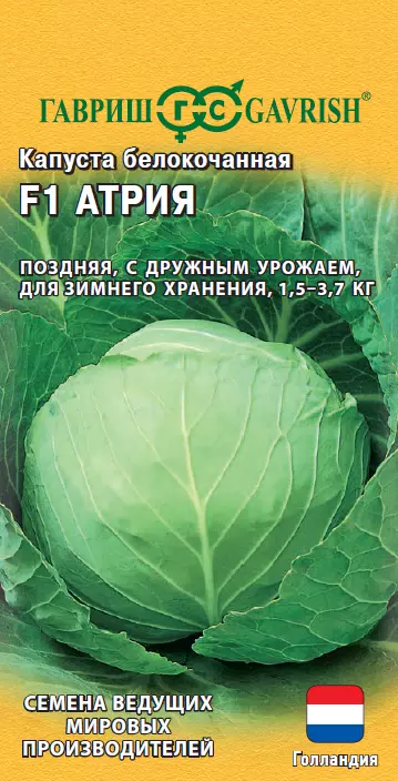Семена Капуста белокочанная Атрия F1 10 шт (Гавриш) ЦВ