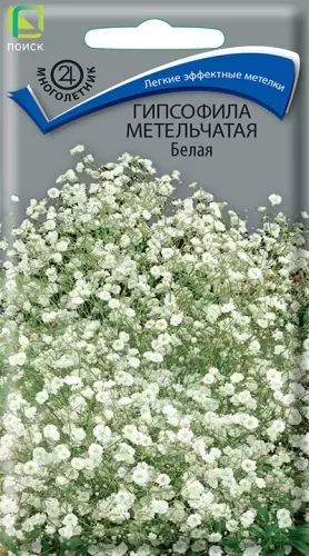 Семена цветов Гипсофила метельчатая белая ПОИСК 0,2 г ц/п