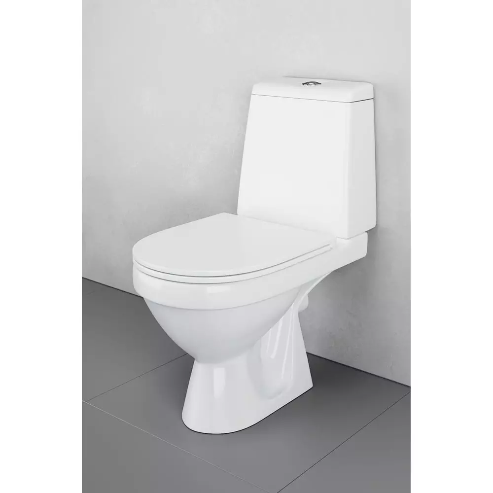 Унитаз RedBlu by Damixa Origin Evo 2 788607SC горизонтальный слив, нижний подвод, 2-режимный слив, сиденье микролифт