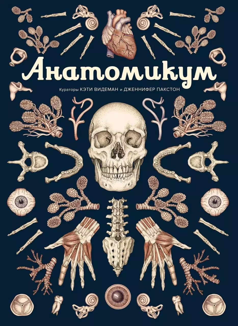 Книга Анатомикум. Пакстон Дж., Видеман К. изд. Азбука — купить по выгодной  цене в интернет-магазине Колорлон