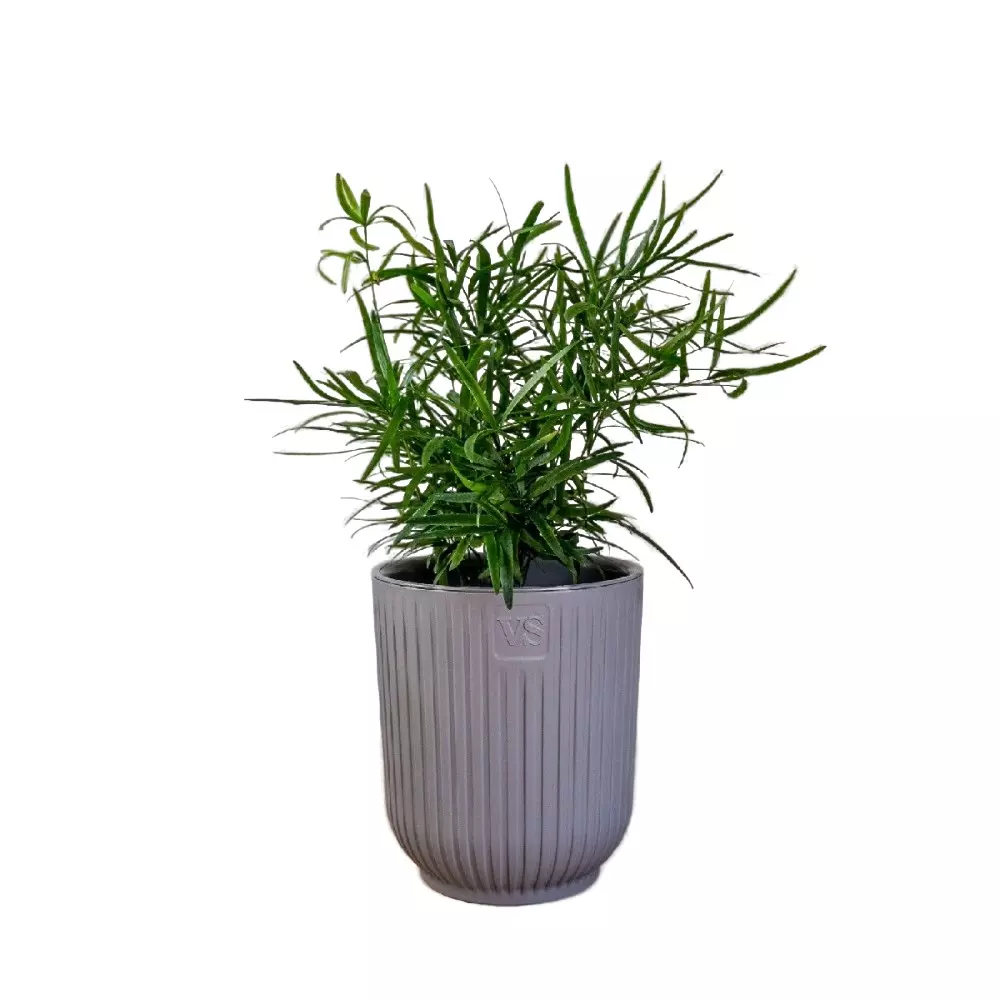 Горшок для цветов 1,6 л с фитильным поливом, D135 мм, дренаж, Эйва VipSet АМО-1,6-03 серый