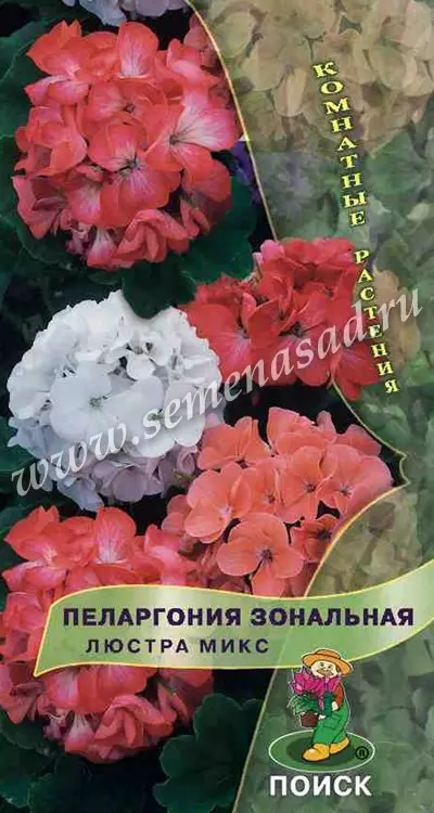 Семена цветов Пеларгония зональная Люстра микс. ПОИСК Ц/П 5 шт