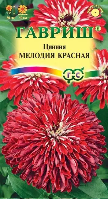 Семена цветов Цинния Мелодия красная 0. 3гр(Гавриш)
