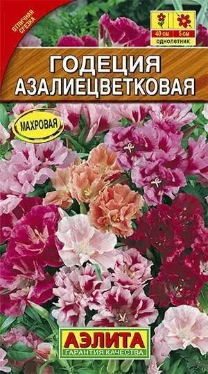 Семена цветов Годеция Азалиецветковая смесь махровая (Аэлита)Ц/П 0,05 г