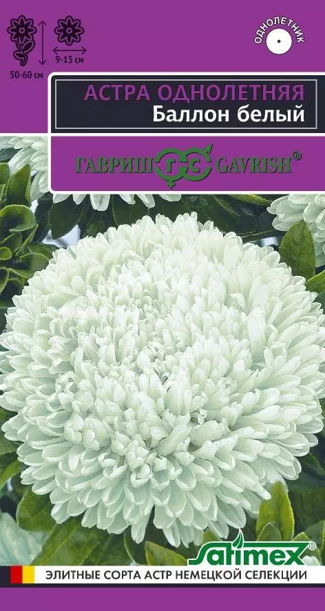 Семена цветов Астра Баллон белый 0.05 гр (Гавриш)