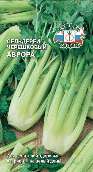 Семена Сельдерей Аврора черешковый 500шт (СеДеК) цв — купить по выгоднойцене в интернет-магазине Колорлон