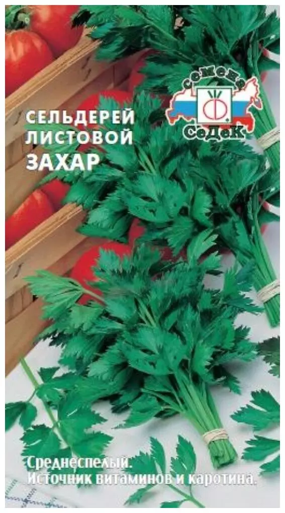 Семена Сельдерей Захар листовой (СеДеК) цв