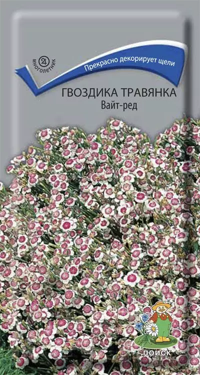 Семена цветов Гвоздика травянка Вайт-Ред 0.1 гр (Поиск)