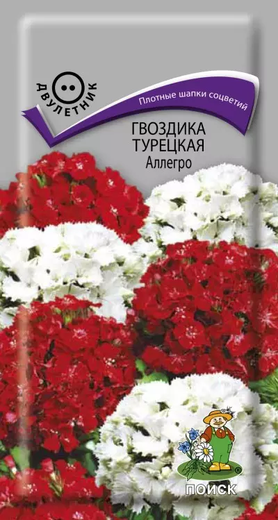 Семена цветов Гвоздика турецкая Аллегро 0.3г, смесь окрасок (Поиск)