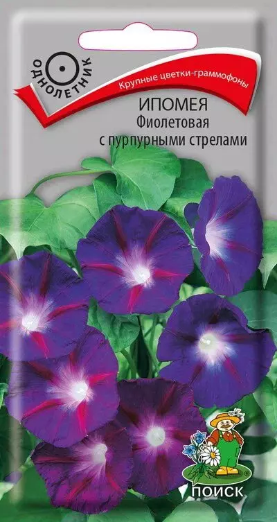 Семена цветов Ипомея Фиолетовая с пурпурными стрелами 0.5 г (Поиск)