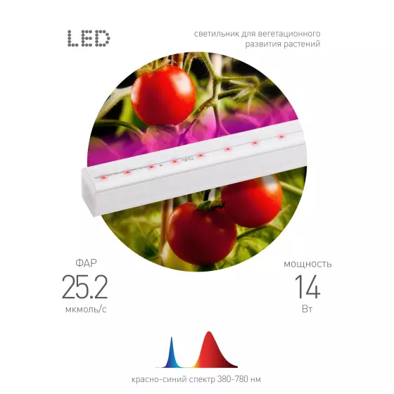 Светильник для растений ЭРА Т5 14Вт красно-синего спектра FITO-14W-Т5-N PROM