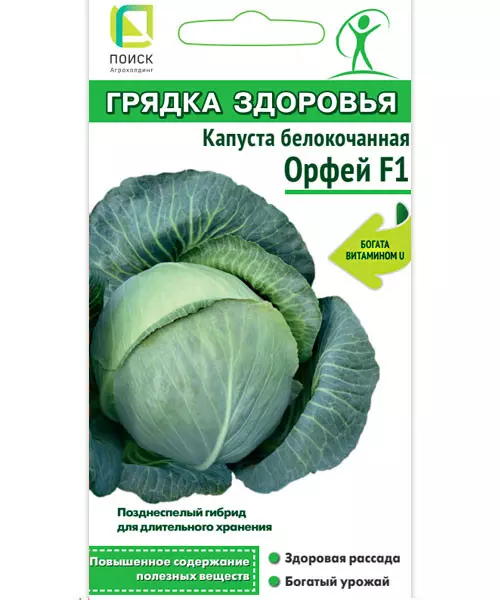 Семена Капуста белокочанная Орфей F1. ПОИСК Ц/П ГЗ 0,2г
