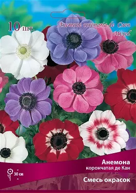Луковицы цветов Анемона корончатая де Кан смесь окрасок 6/7, 10 шт