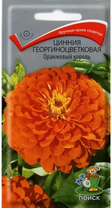 Семена цветов Цинния оранжевый король (Поиск) цв