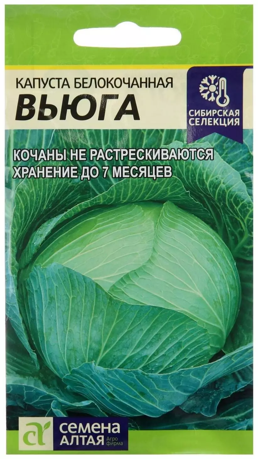 Семена Капуста Вьюга/Сем Алт/бп 0,5 гр. Сибирская Селекция! — купить по  выгодной цене в интернет-магазине Колорлон