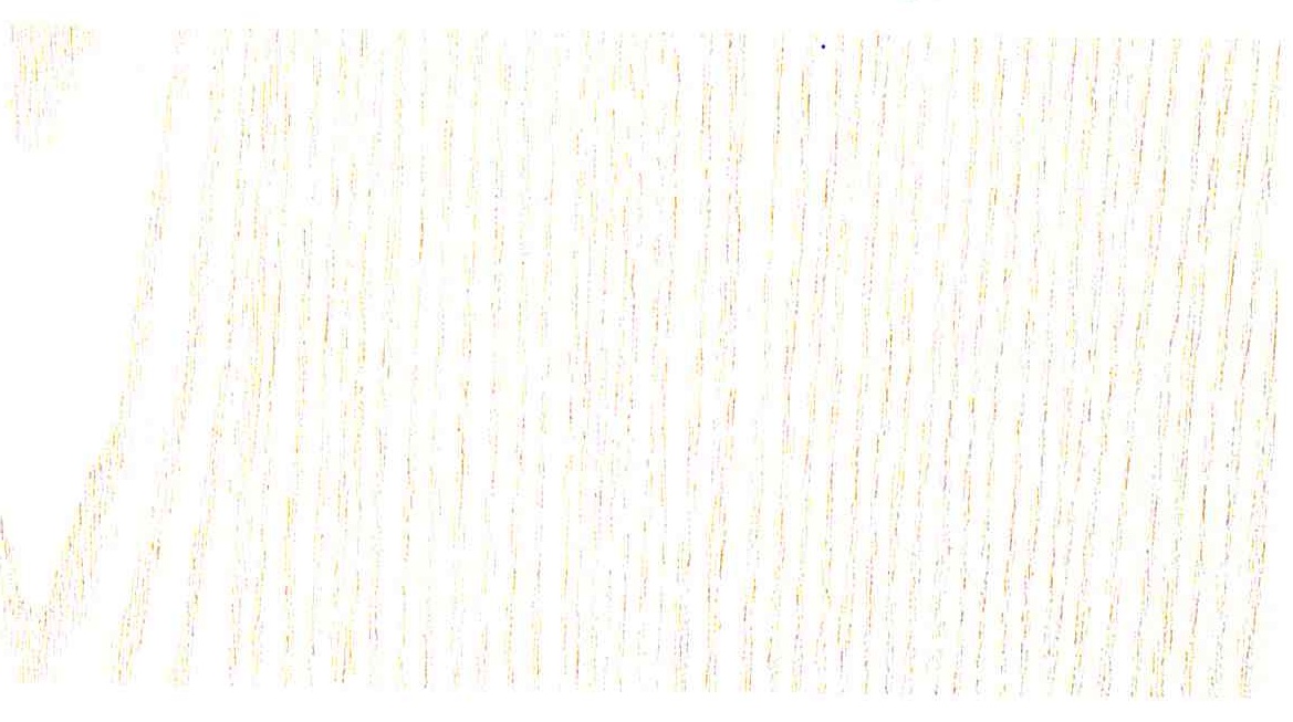 Пленка самоклеющаяся D-C-FIX 0172-346 0,45х2м Дерево перламутрово-белое