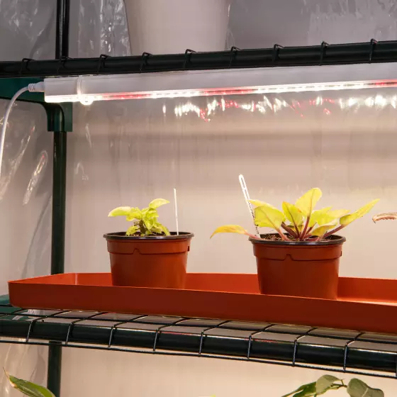 Теплица со светильниками в комплекте 4 яруса 1250х690х300мм ЭРА Б0059786