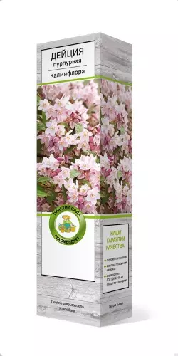 Саженец Дейция пурпурная Калмифлора (в тубе), Поиск