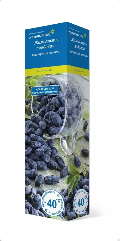 Саженец Жимолость съедобная Бакчарский великан, средний (в тубе), Поиск